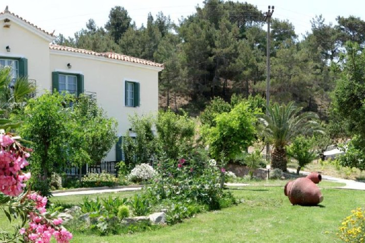 Hotel Alma (Petra)