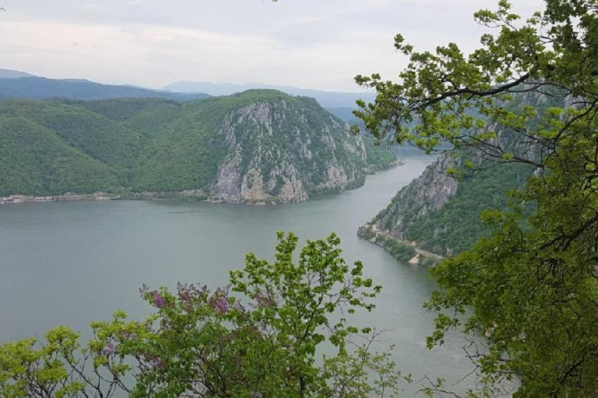 Pensiunea Decebal