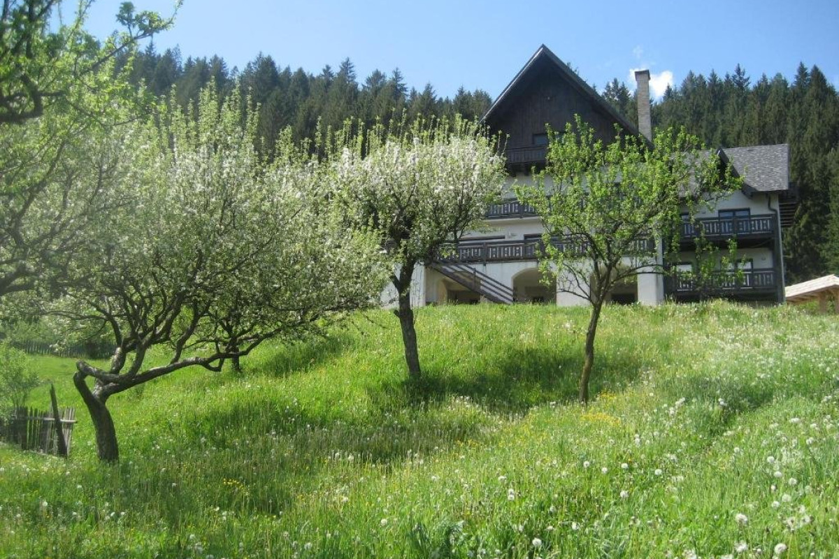 Bucovina  Lodge