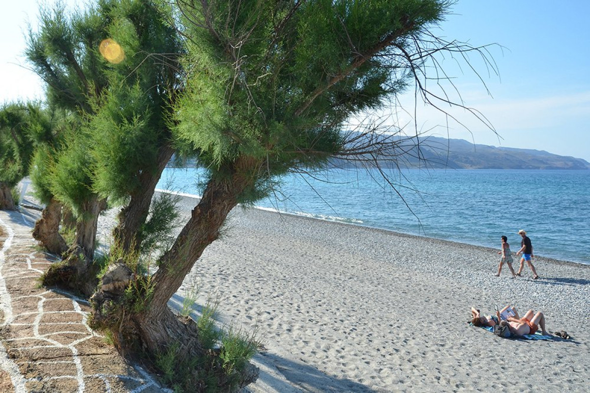 Arion (Adults Only 14+) - Kolymbari (C)