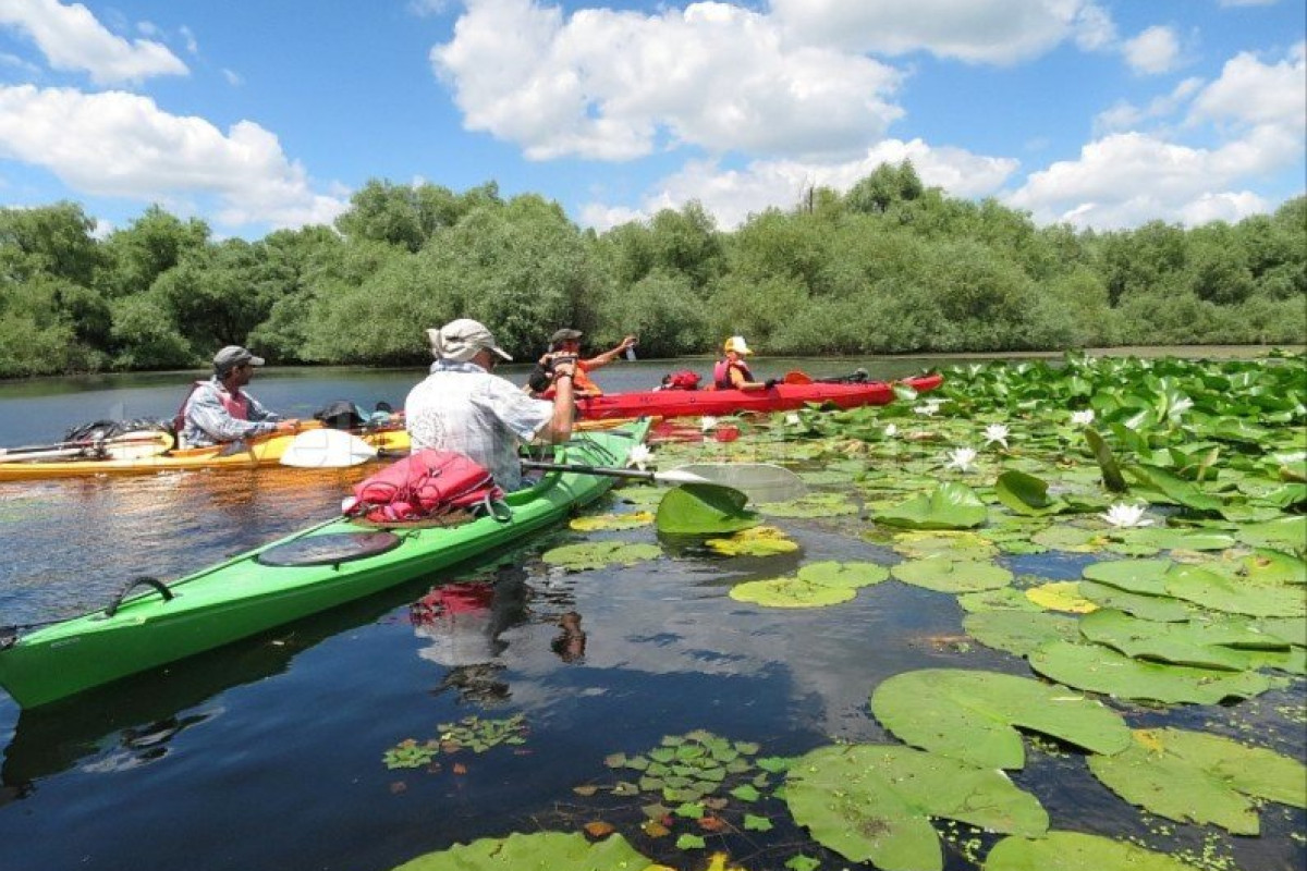 Eco Village