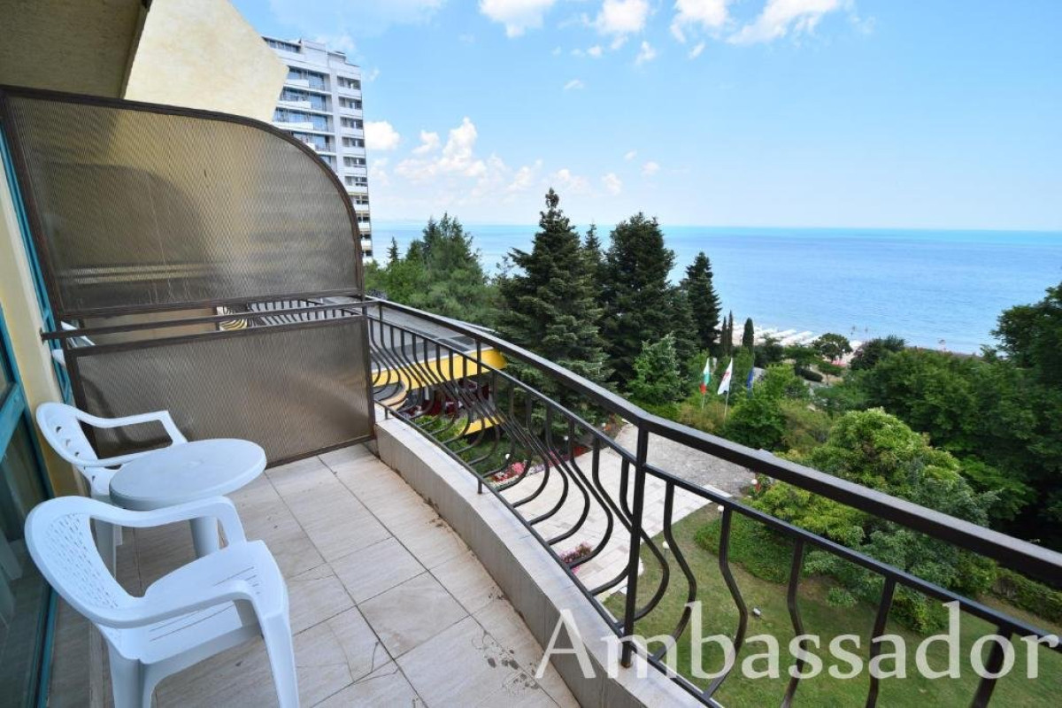 AMBASSADOR (GOLDEN SANDS)