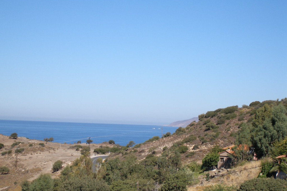 MOLIVOS RESIDENCE (Molivos)