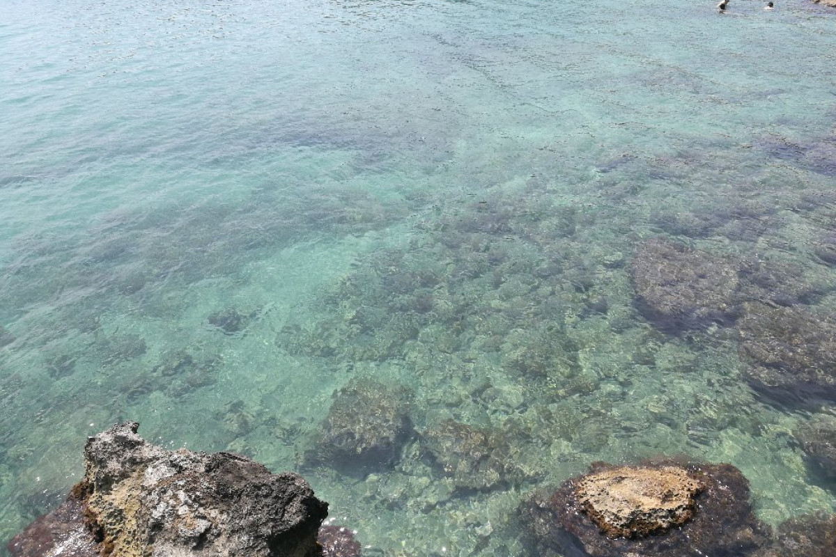 La Corvetta