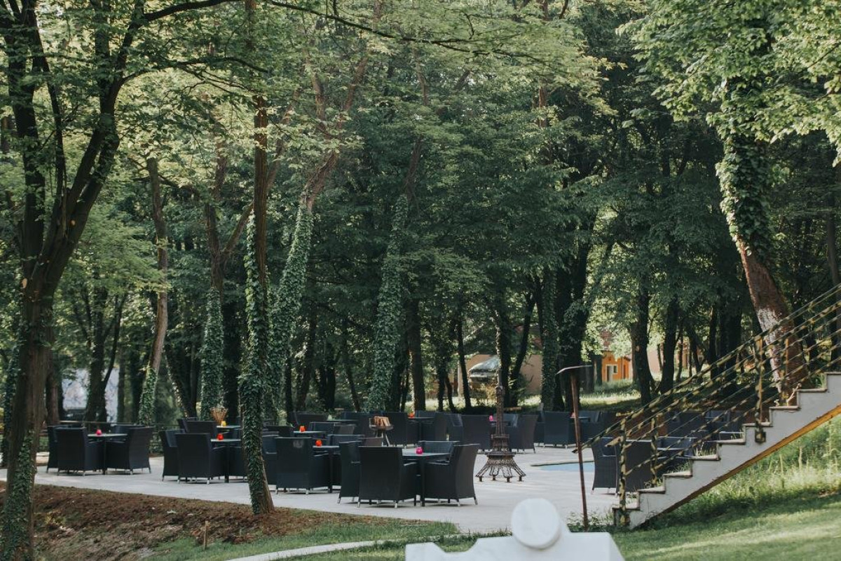 Arsenal Park (Orastie)
