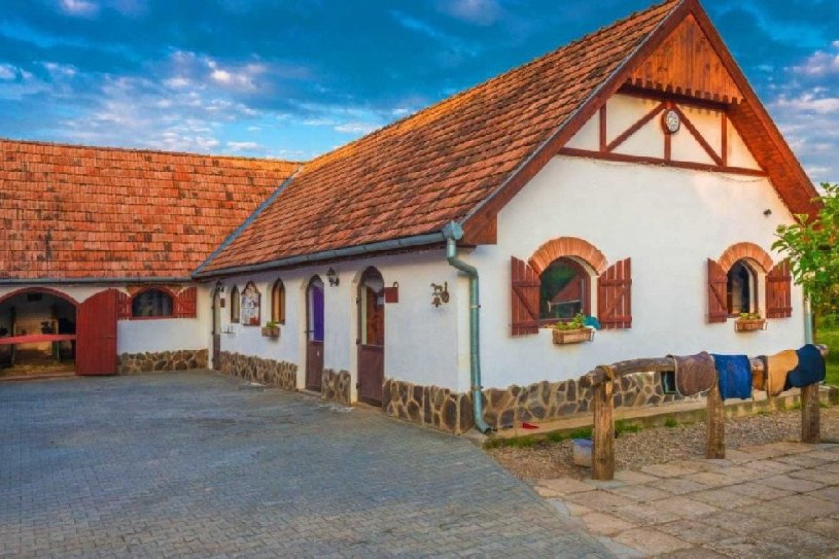 Domeniul Dracula Danes (Danes-Sighisoara)