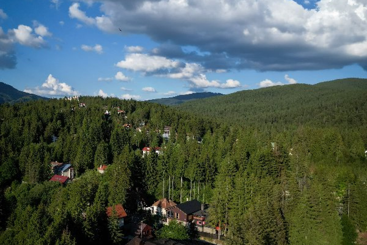 Hotel Elexus Predeal