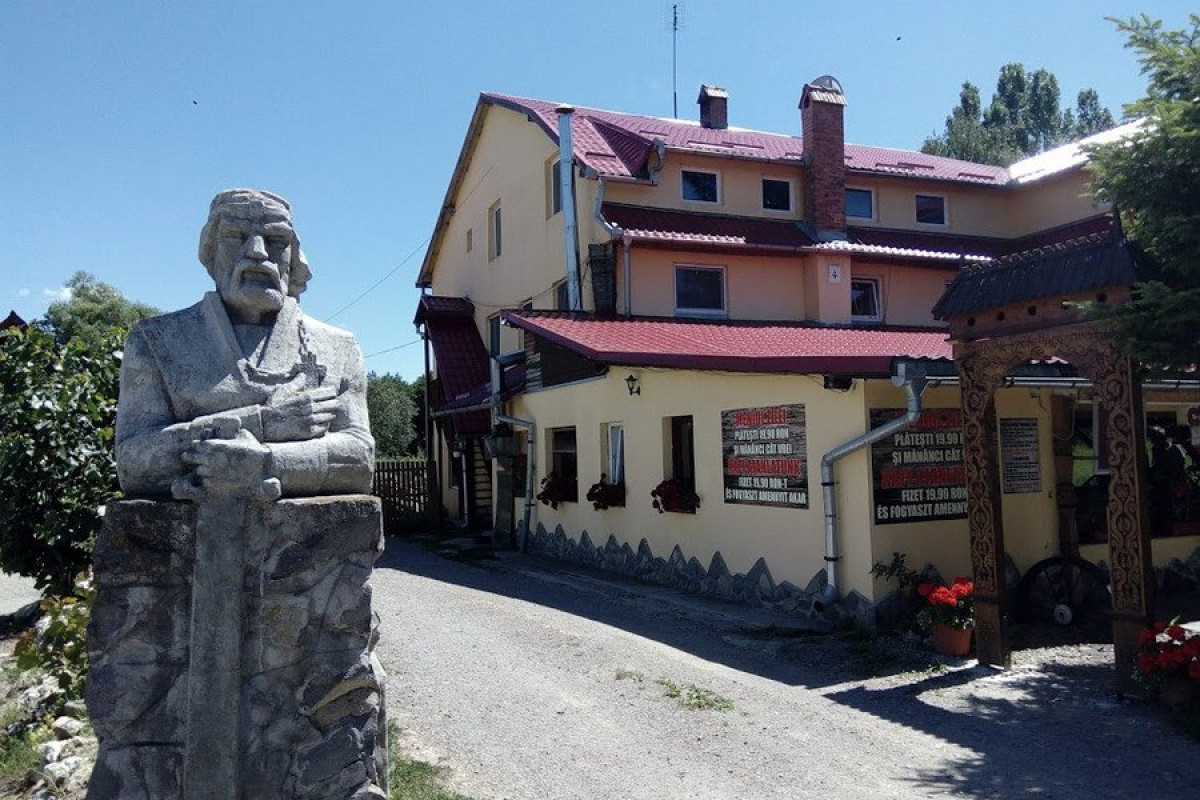 Dozsa Dalnic