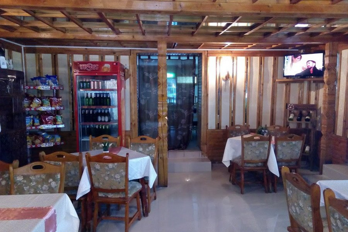 Dozsa Dalnic