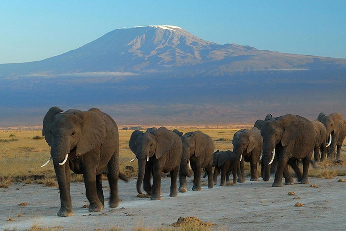 Safari Amboseli-Tsavo (3 nopti) + Diani Reef Beach (4 nopti)