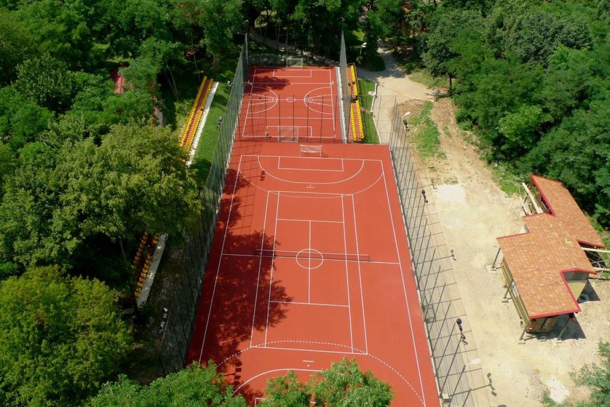 Arsenal Park (Orastie)