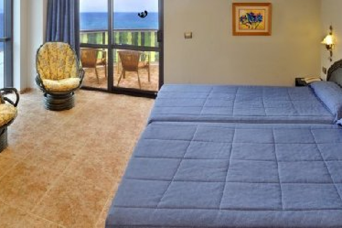 Kaktus Albir (Albir)