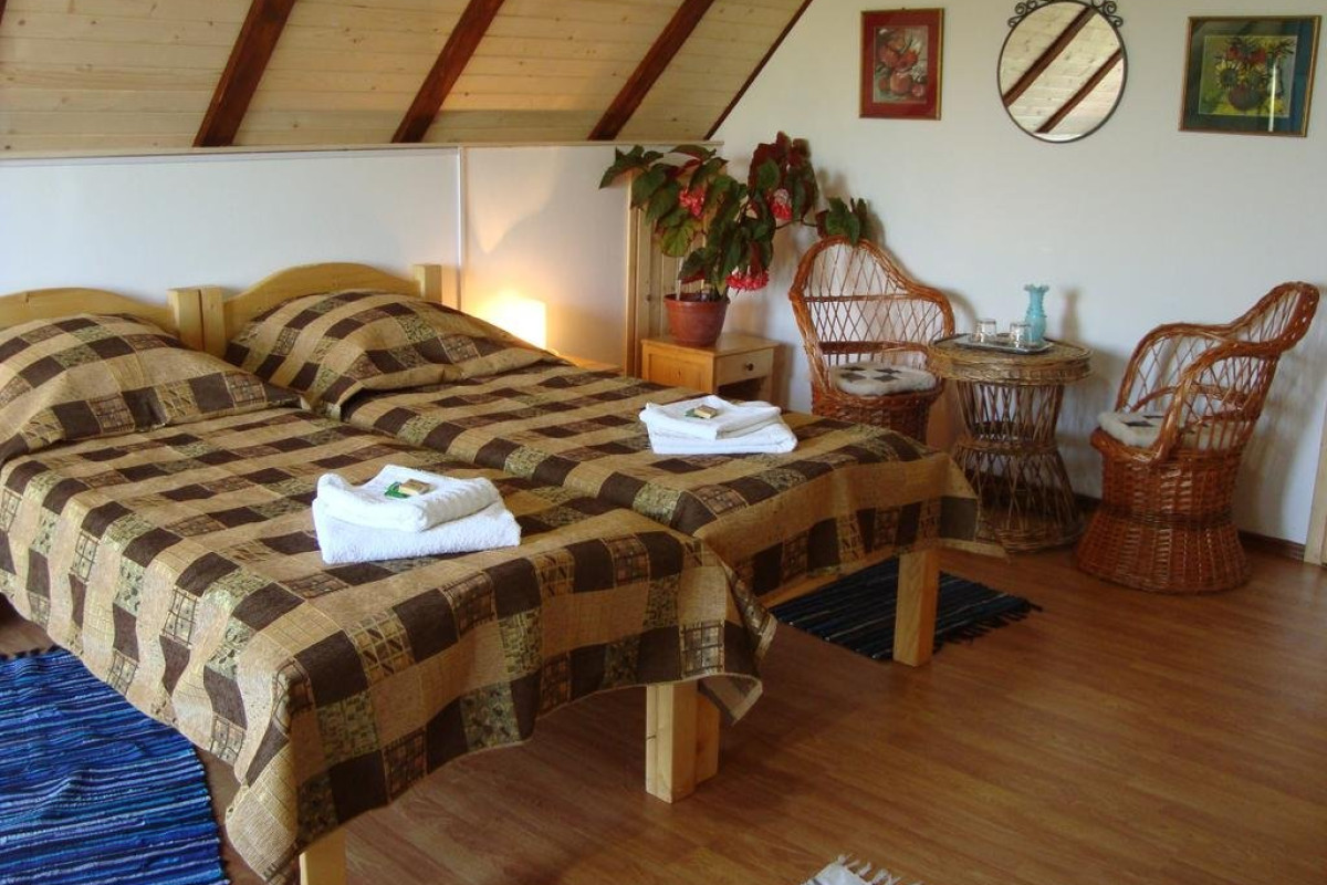 CASA DINTRE SALCII