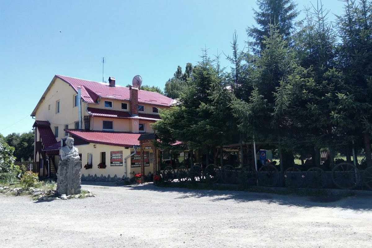 Dozsa Dalnic