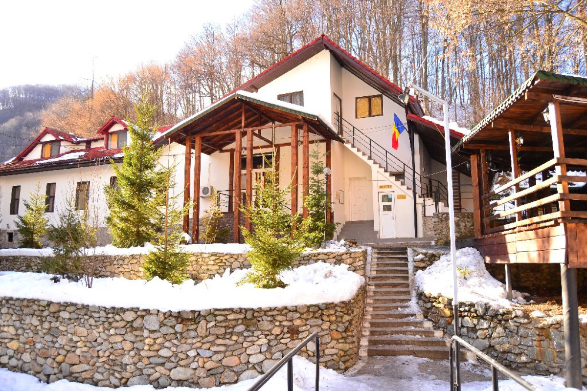 Vila Ursu