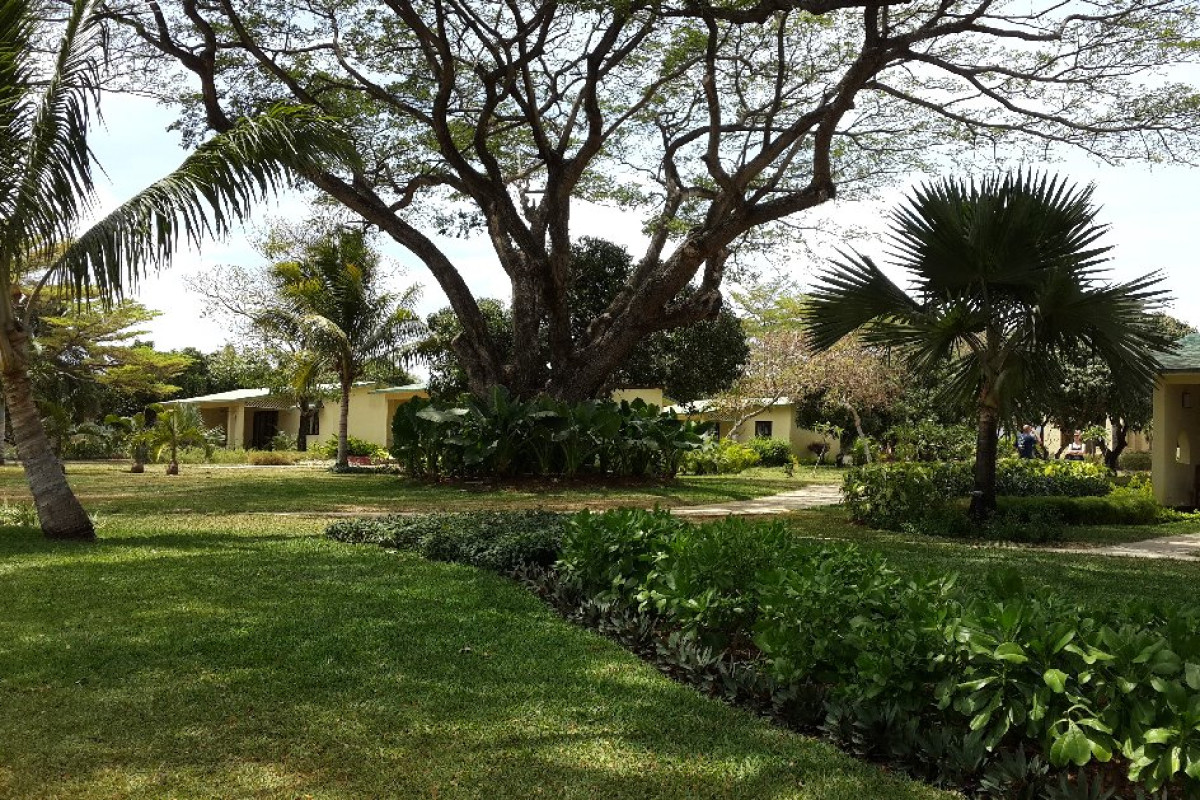 Anelia Resort