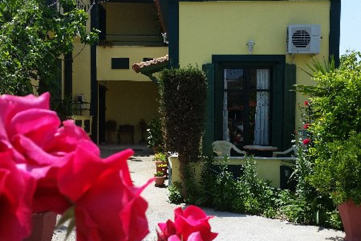 Elektra apts. Studios (Petra)