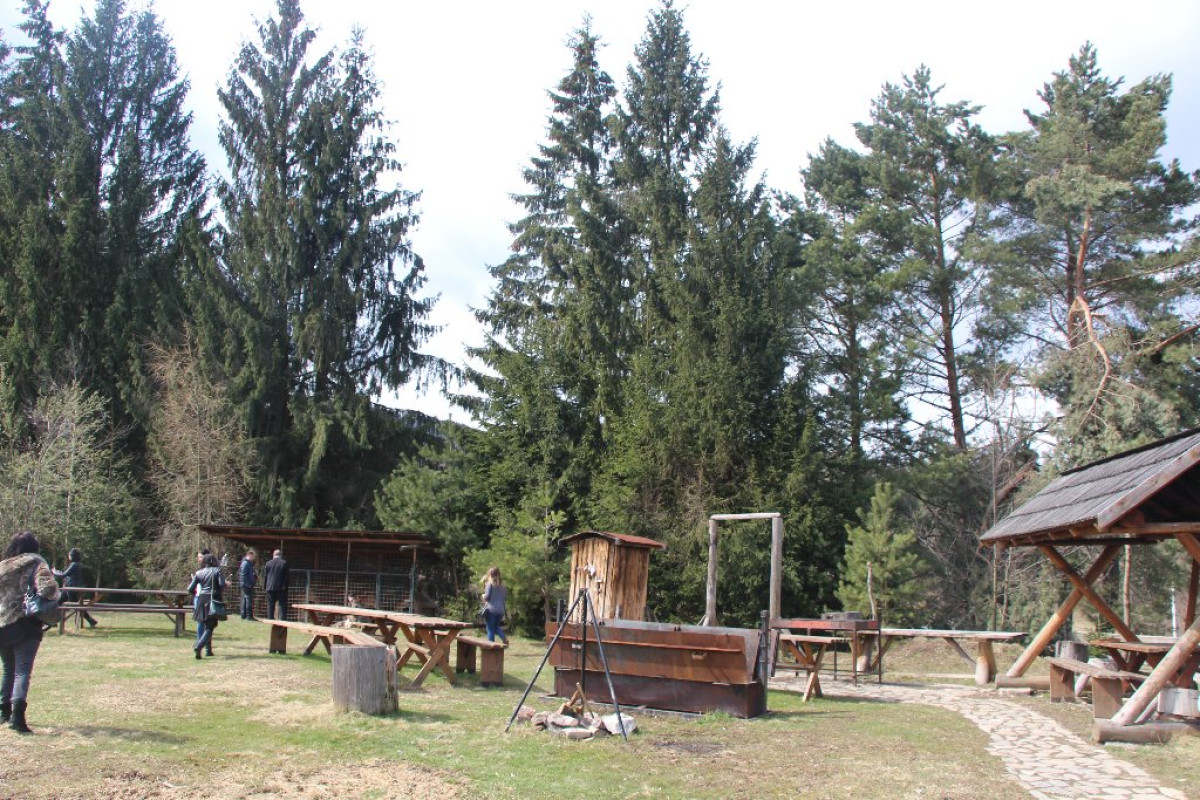 Inima Bucovinei ( Frasin)