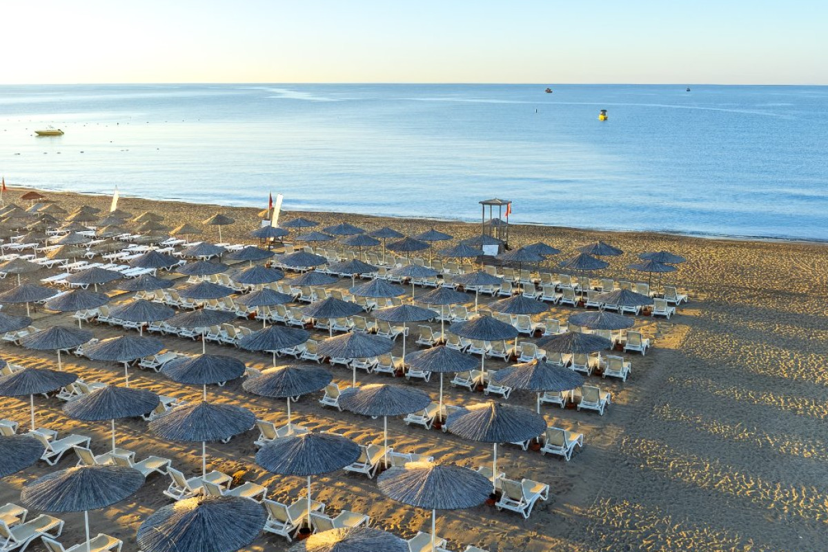 THE X BELEK