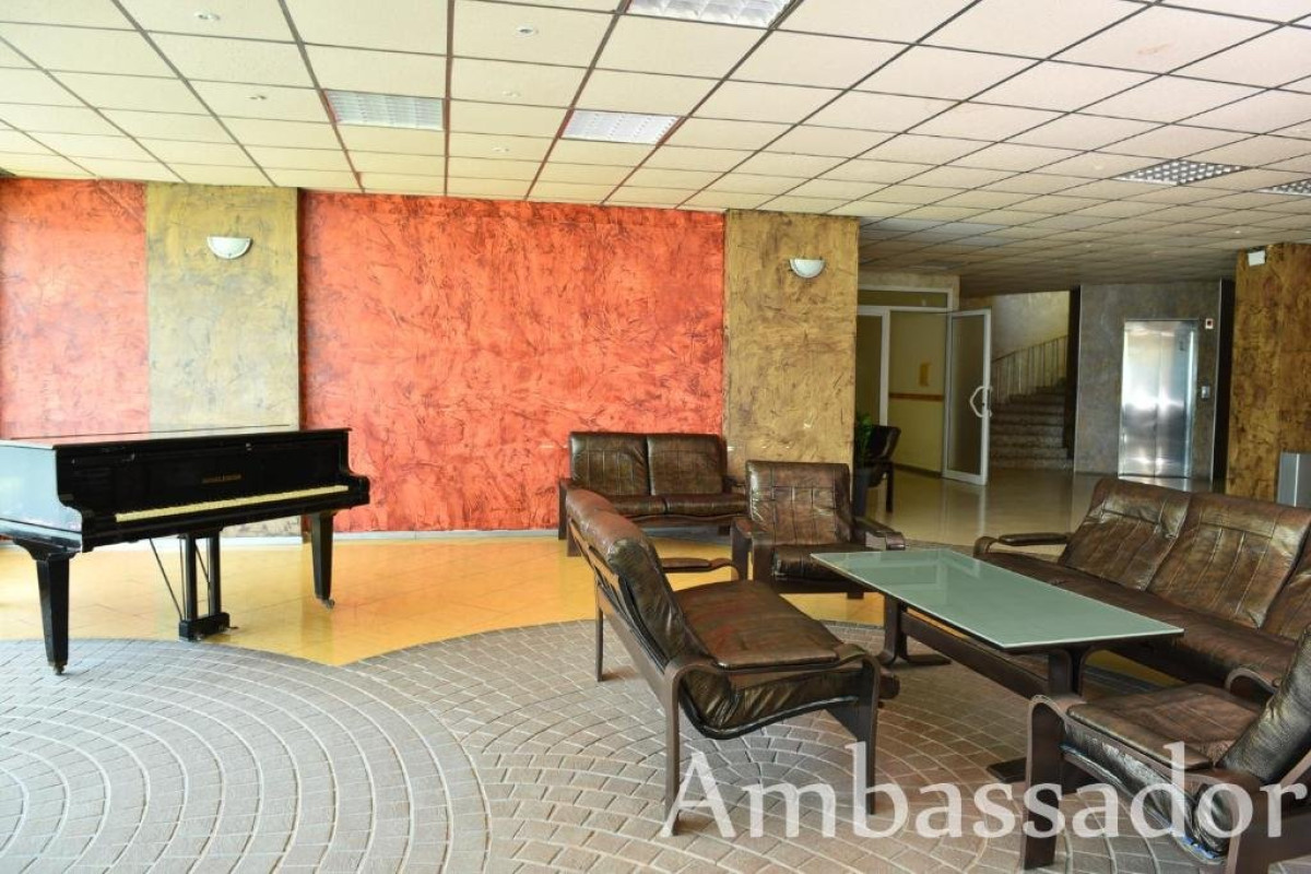 AMBASSADOR (GOLDEN SANDS)