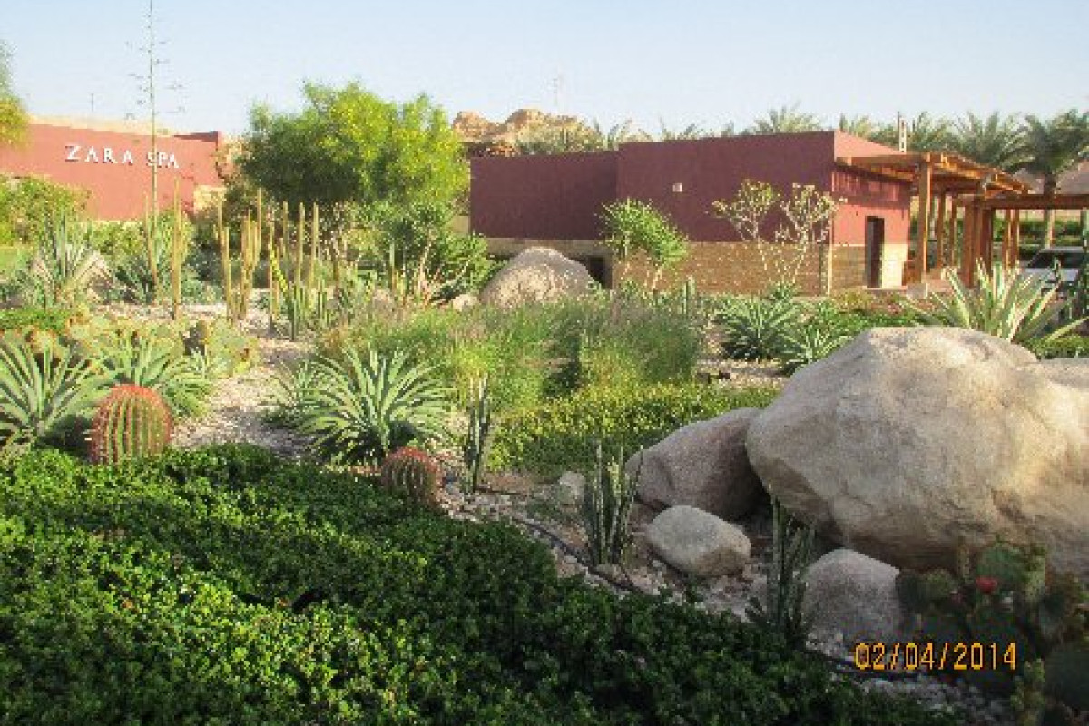 Moevenpick Resort Tala Bay