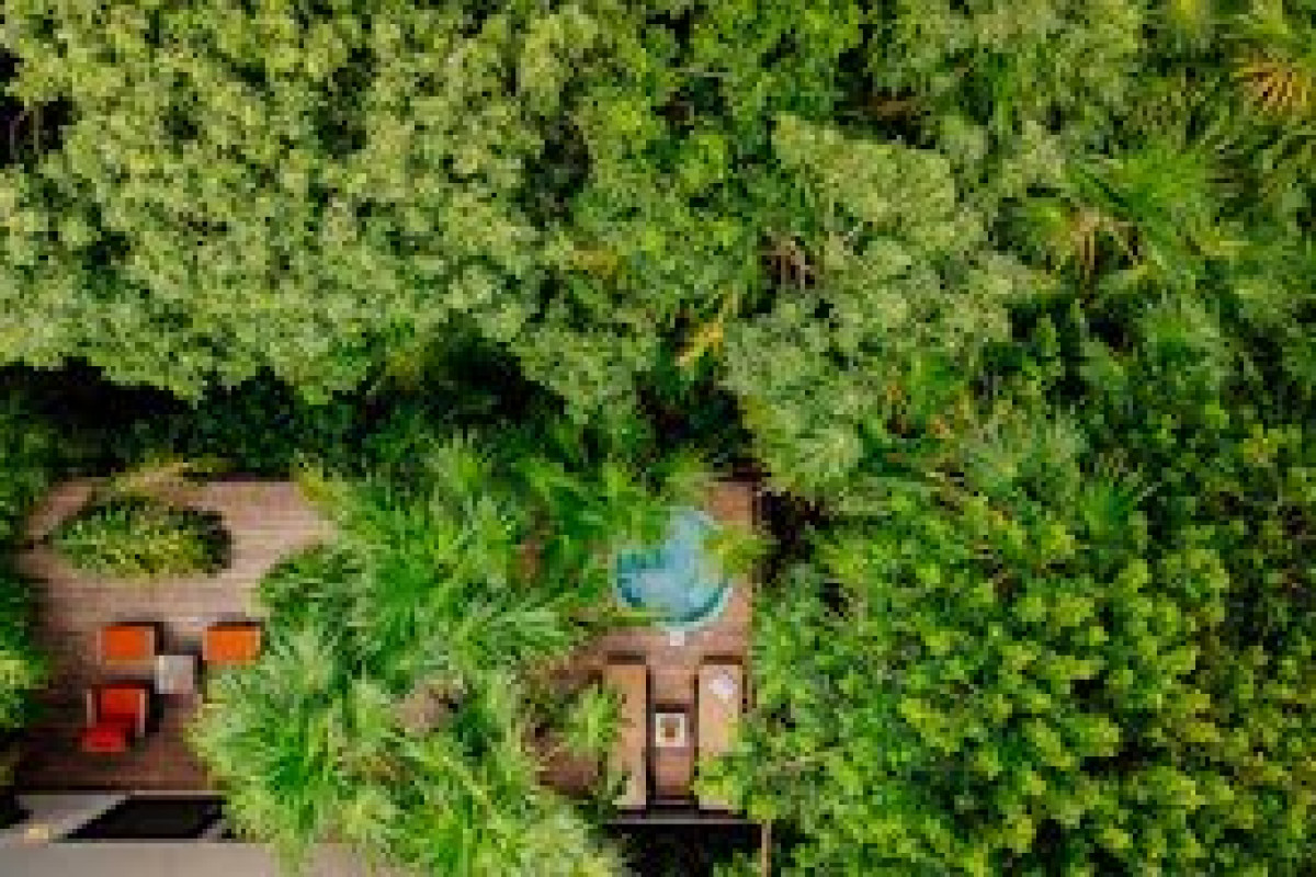 Occidental Xcaret Destination