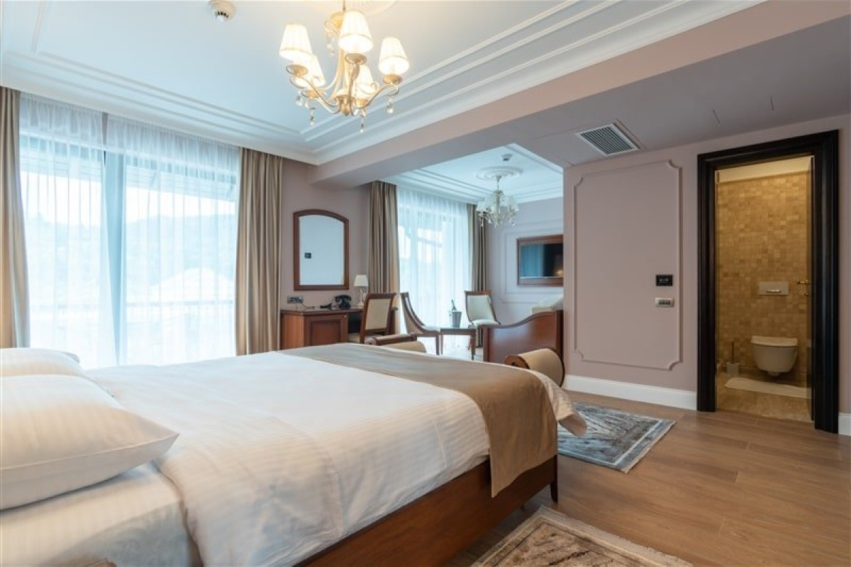 Hotel Gabriela (Viseul de Sus)..