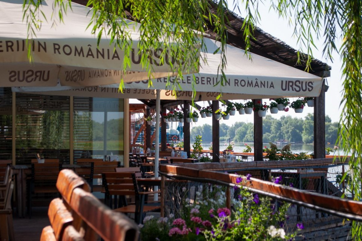 Paradise Delta House - Crisan