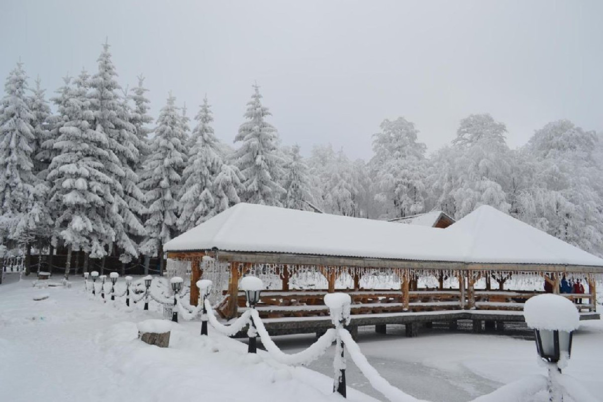 Cabane Cota 1000