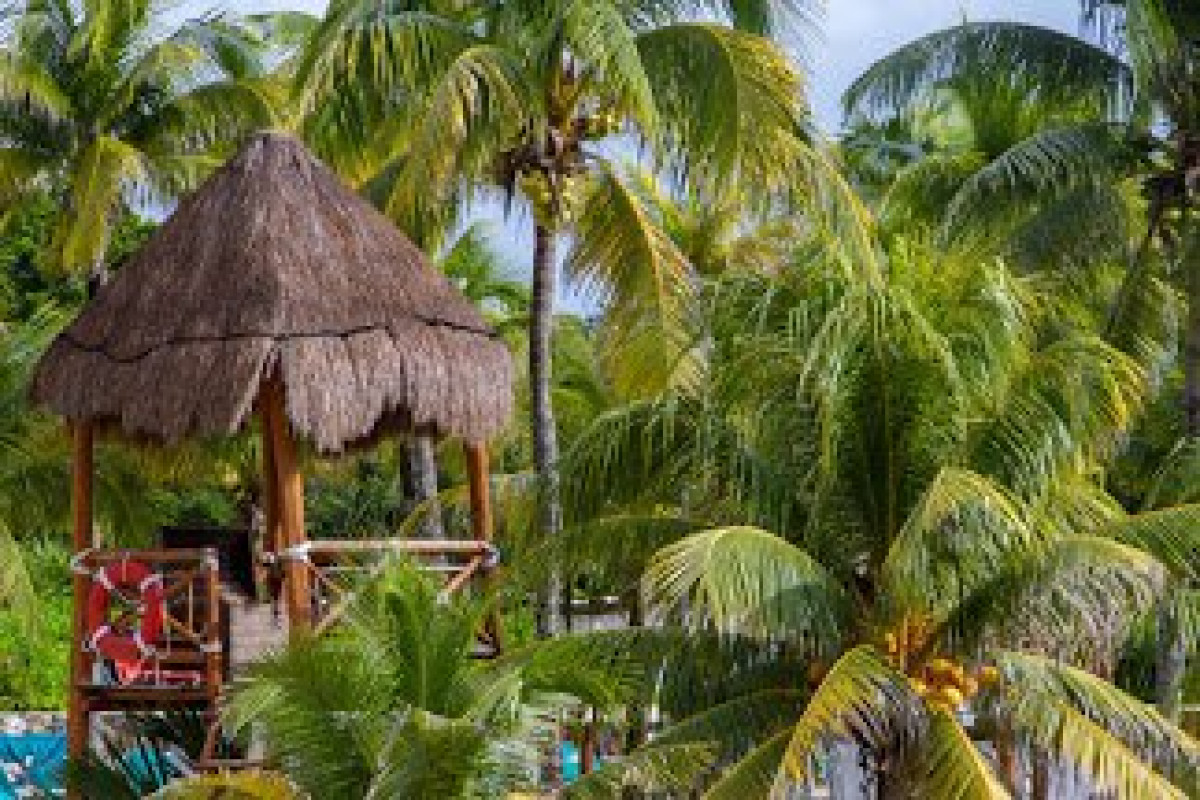 Occidental Xcaret Destination