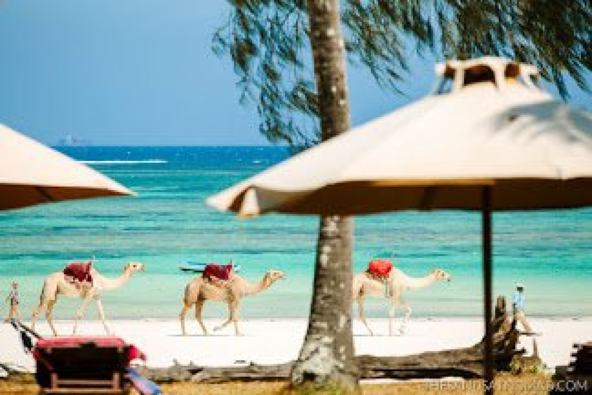 The Sands at Nomad Beach Resort