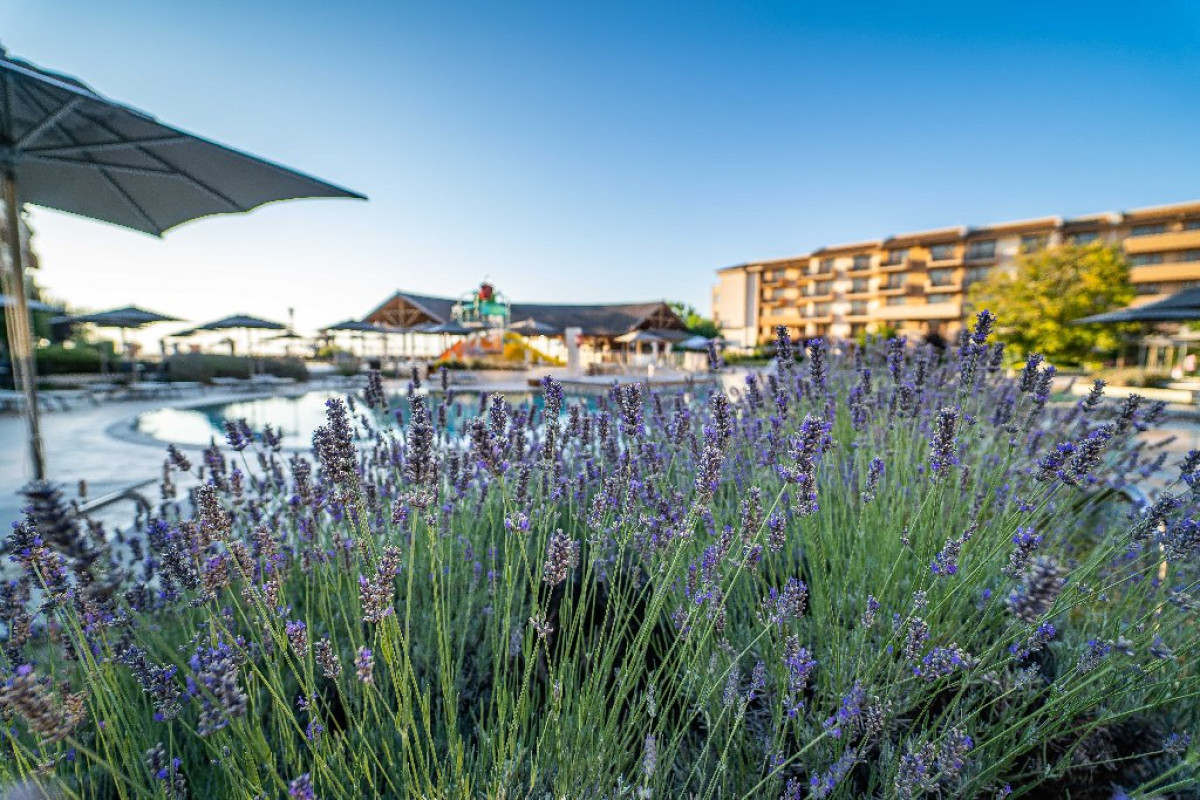 HVD CLUBHOTEL MIRAMAR