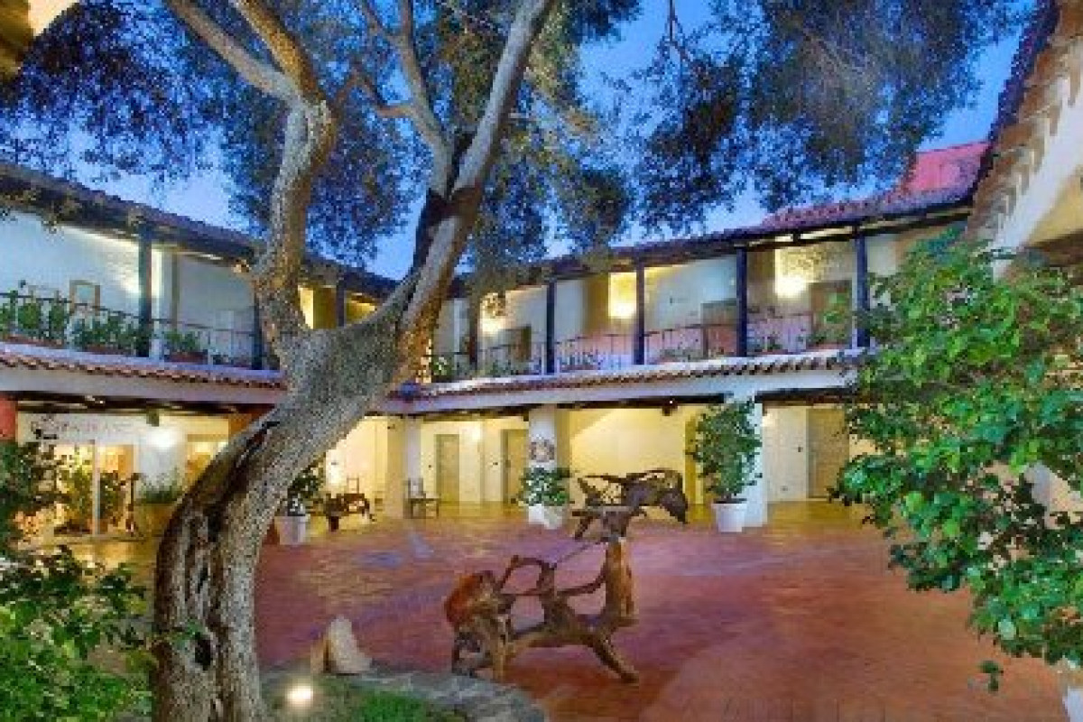 Starwood Cervo