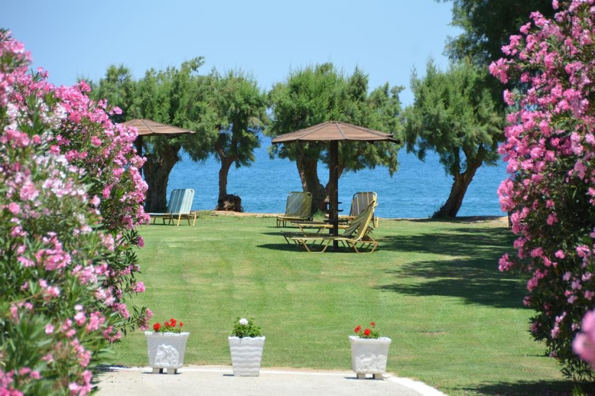 Arion (Adults Only 14+) - Kolymbari (C)