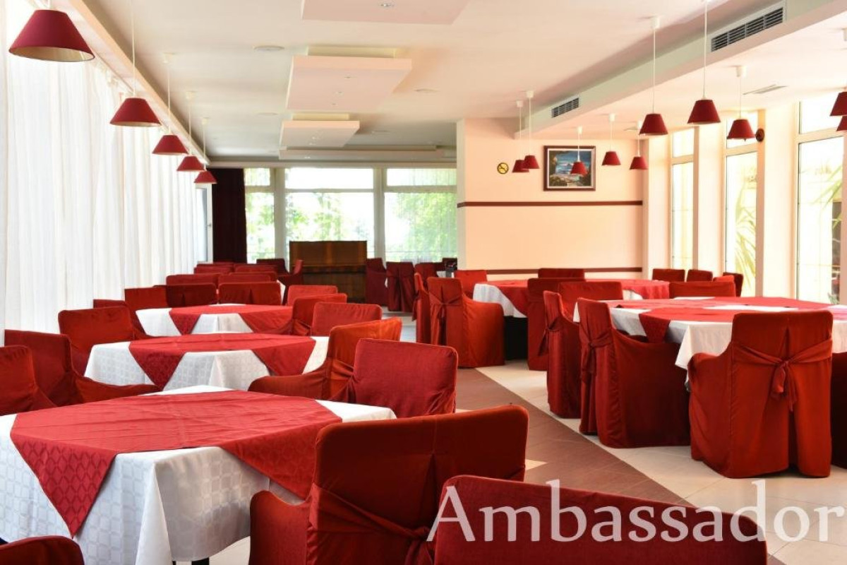 AMBASSADOR (GOLDEN SANDS)