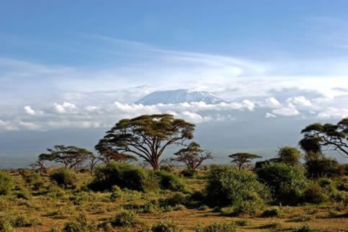 Safari Tsavo East - West (2 nopti) + Swahili Beach Resort (5 no