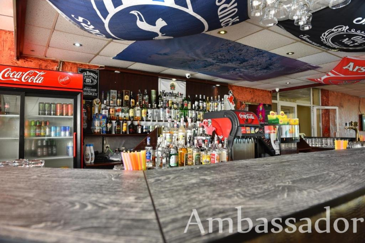 AMBASSADOR (GOLDEN SANDS)