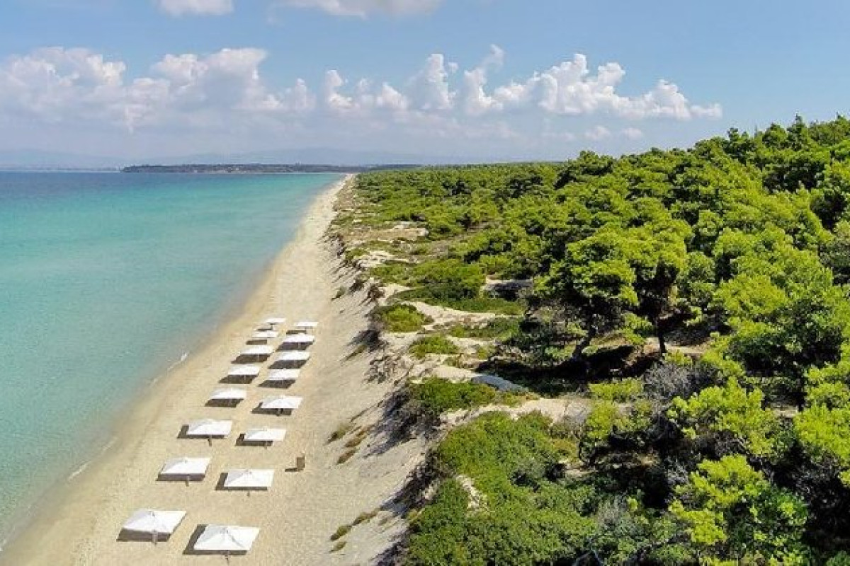 Sani Beach Hotel (Sani-Kassandra)
