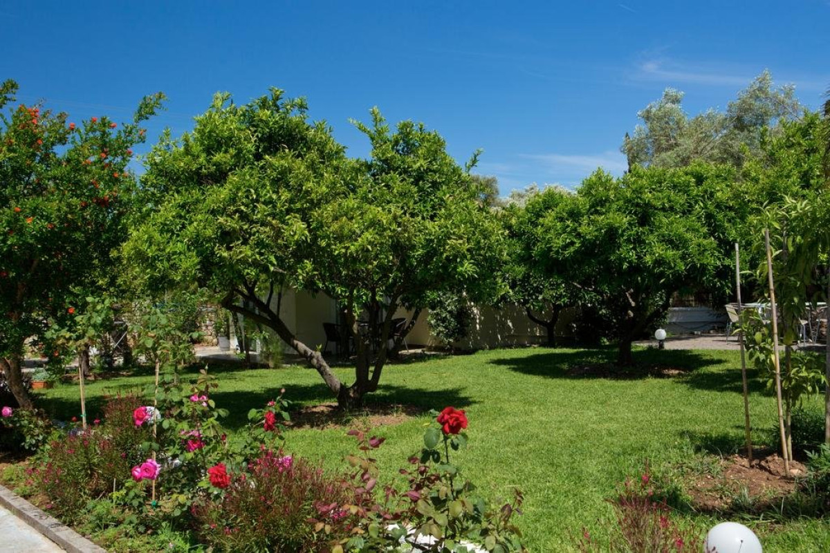 Marina Studios (Lefkada Town)