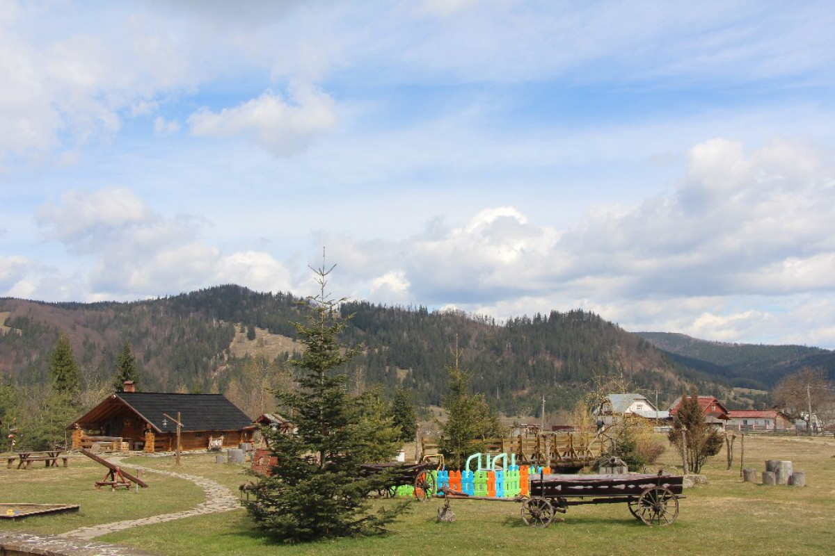 Inima Bucovinei ( Frasin)