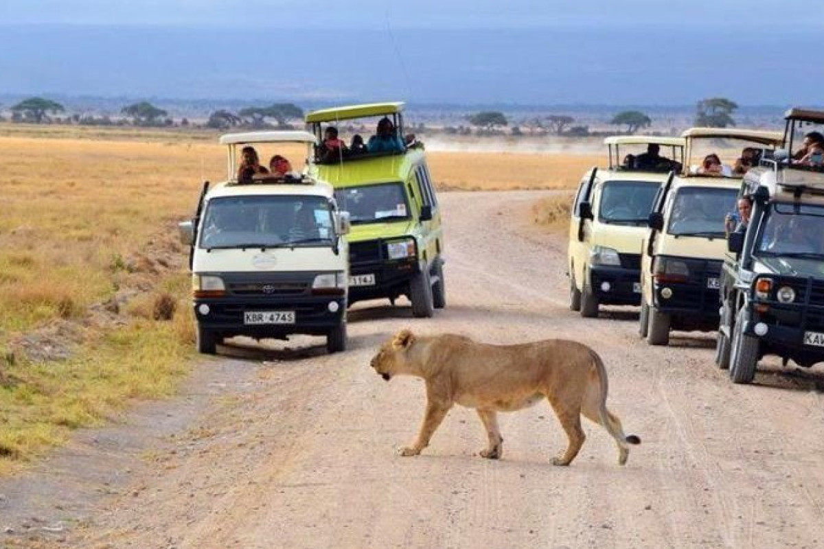 Safari Tsavo East 2 nopti + Plaja 5 nopti