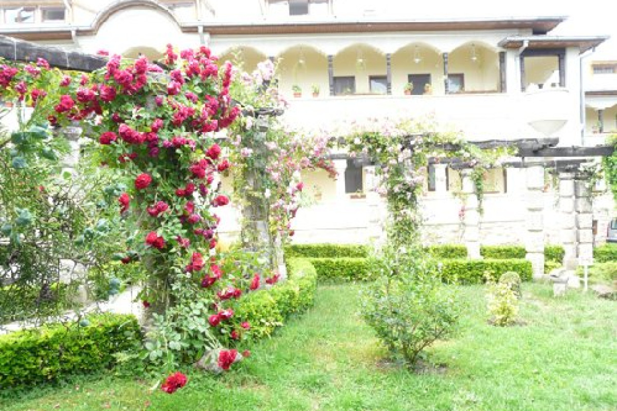 Sfanta Maria