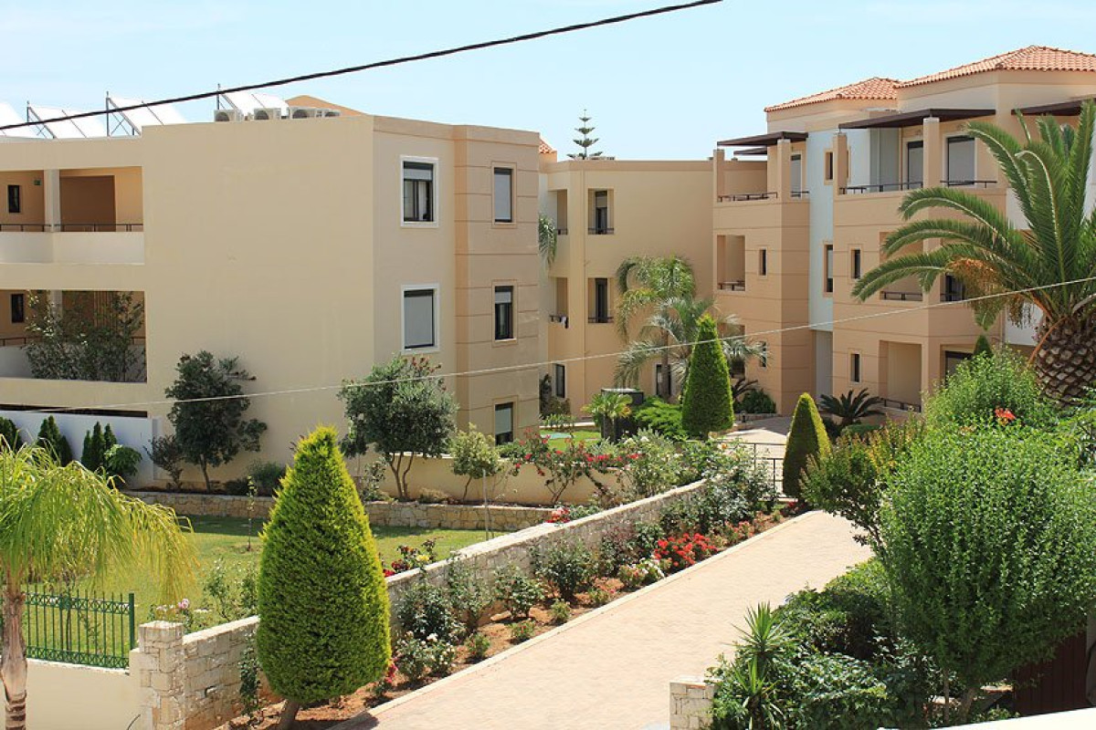 Creta Palm (K)