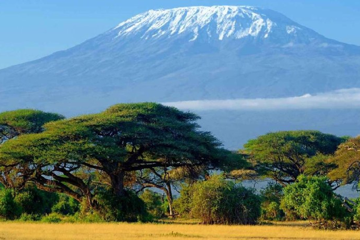 Safari Amboseli-Tsavo (3 nopti) + Diani Reef Beach (4 nopti)