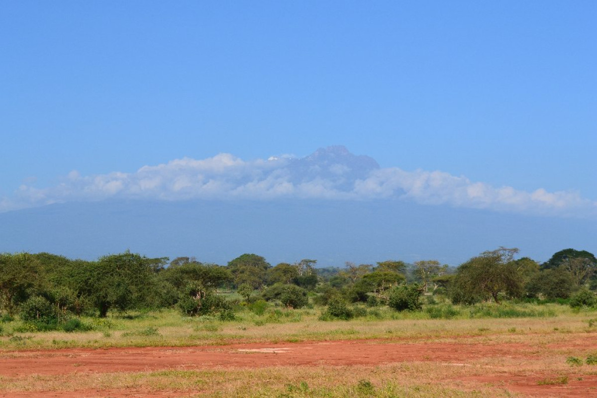 Safari Tsavo West 2 nopti + Plaja 5 nopti