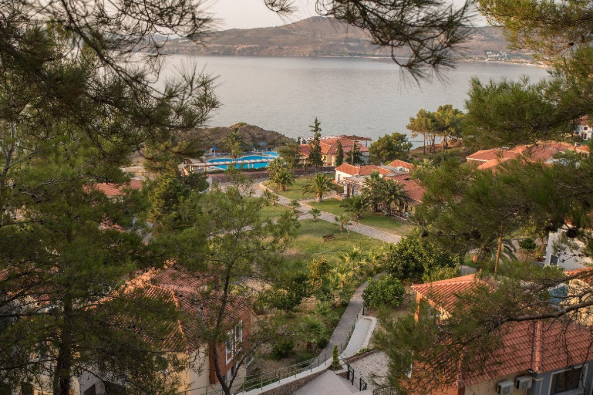 Alma Hotel Petra