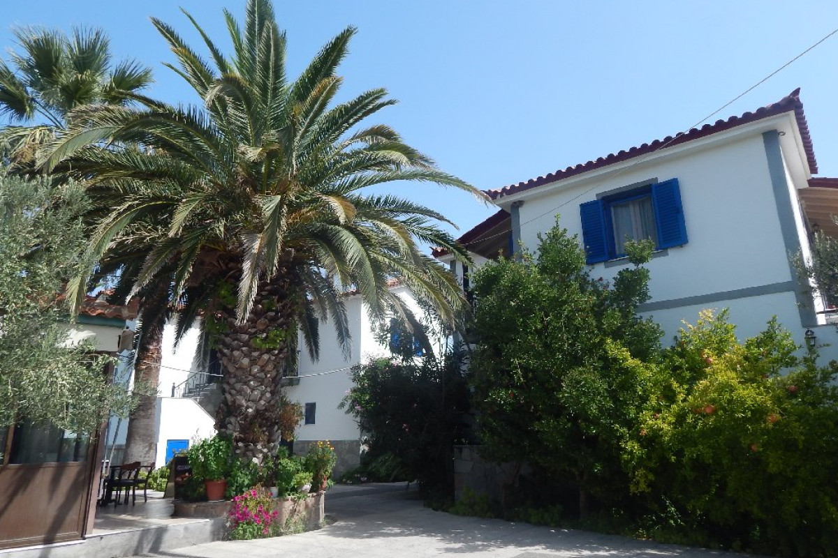 Anaxos Garden (Anaxos)