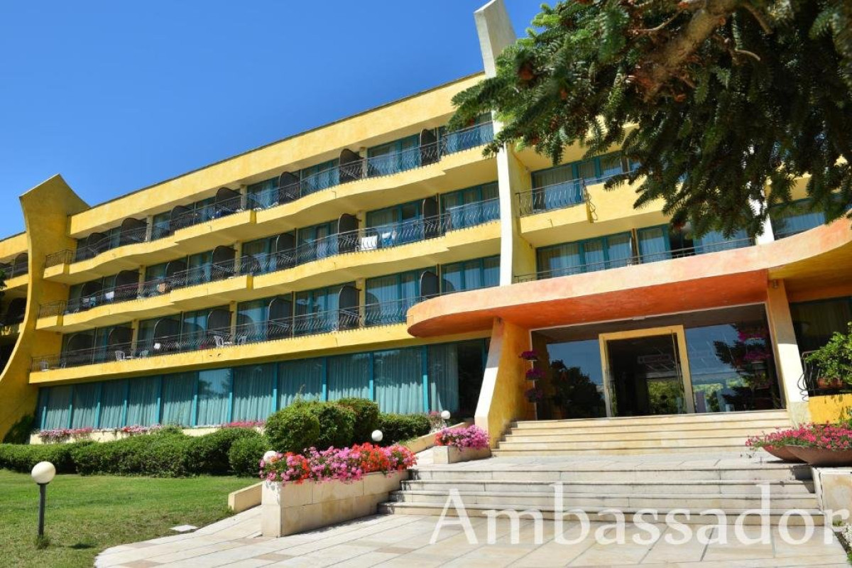 AMBASSADOR (GOLDEN SANDS)