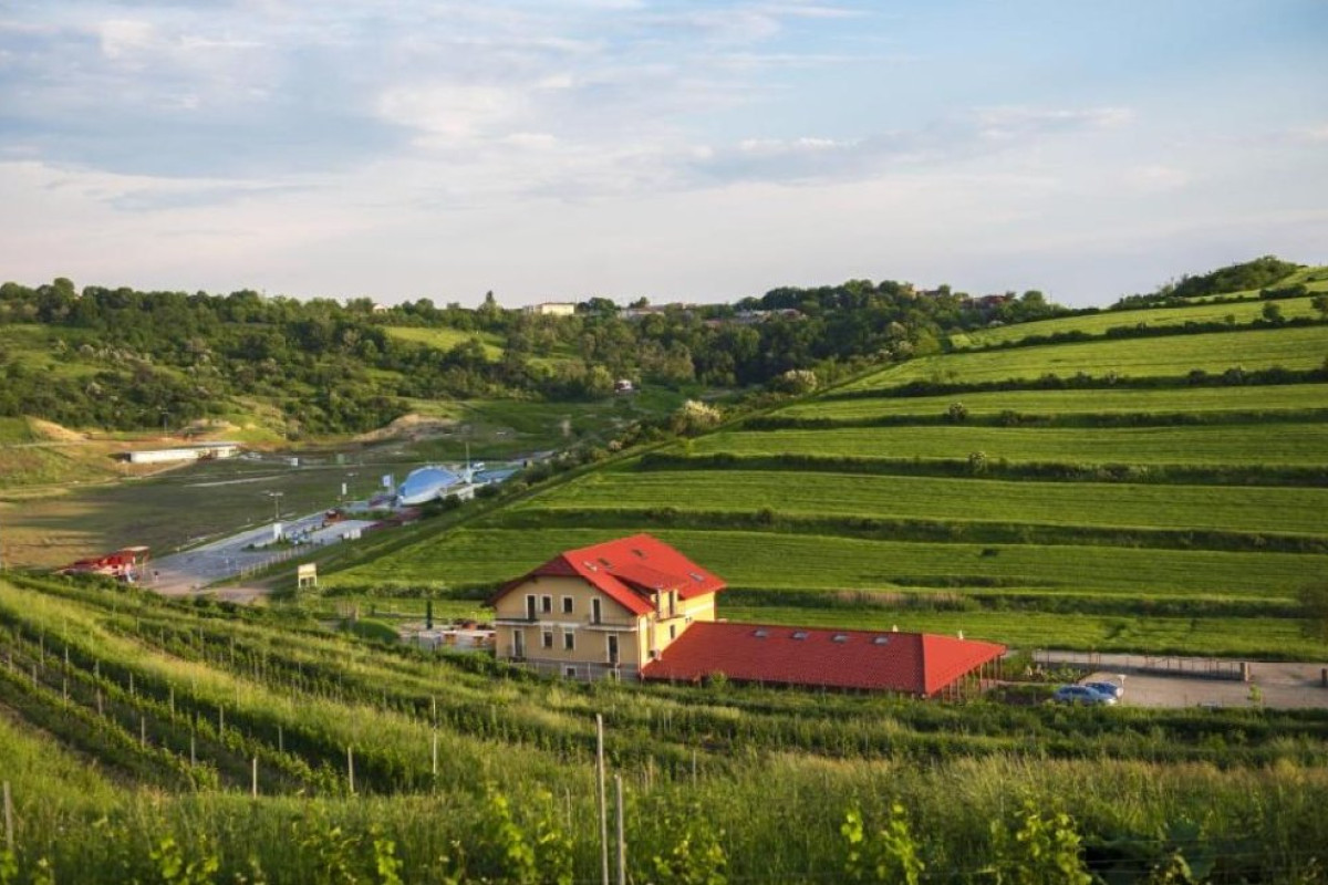 Sarea in Bucate