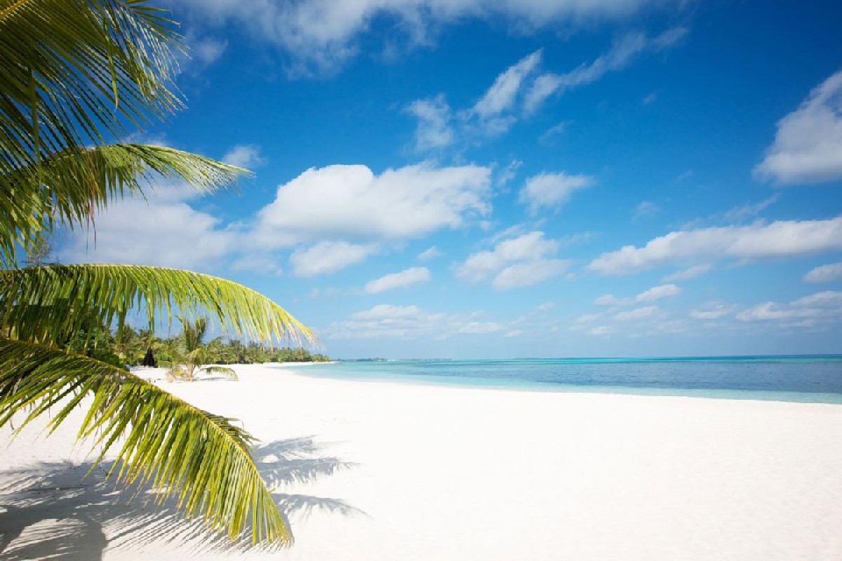 LUX South Ari Atoll Resort